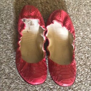 Giuseppe Zanotti ballet flats